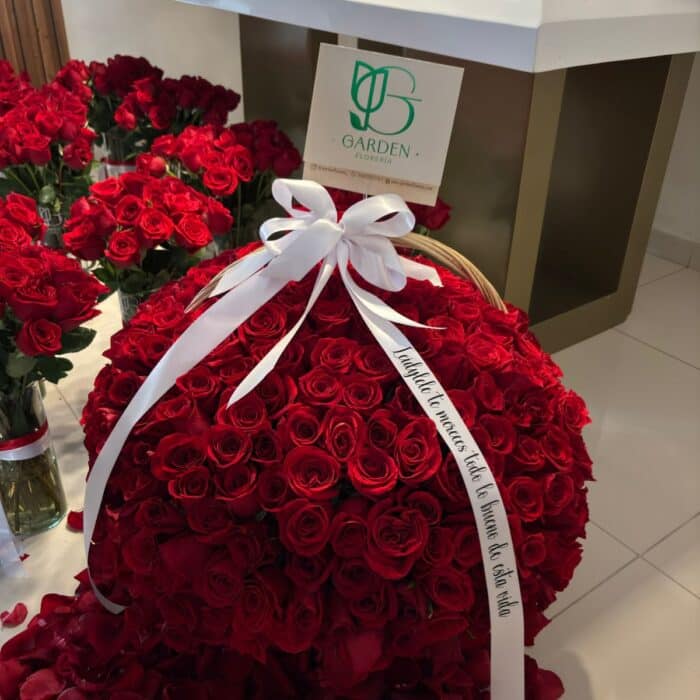 Canasta 300 rosas