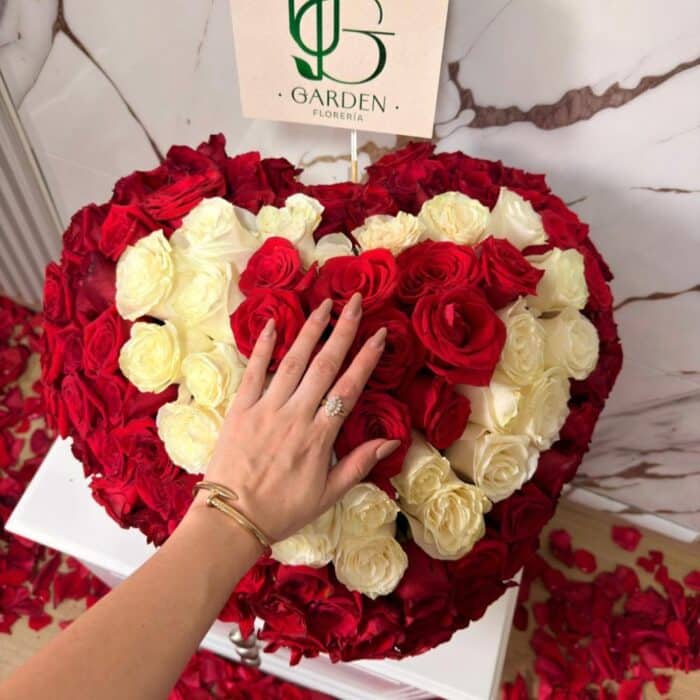 Corazón Valentino 3D